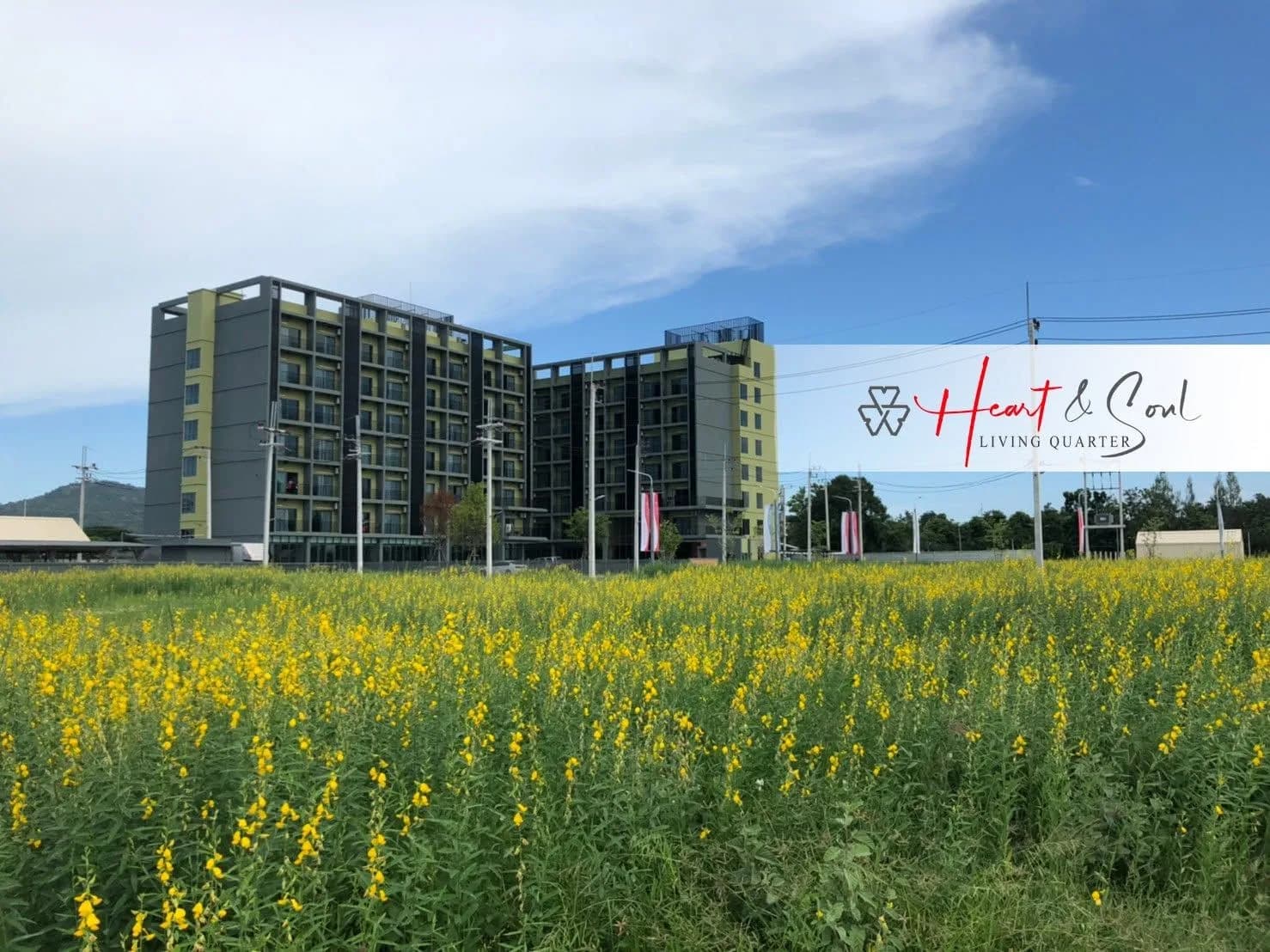 Heart & Soul Living Quarter, Ча-Ам: помесячные комнаты 32 кв. м в доме со спортзалом рядом с Университетом Силпакорн в Пхетчабури фото 2