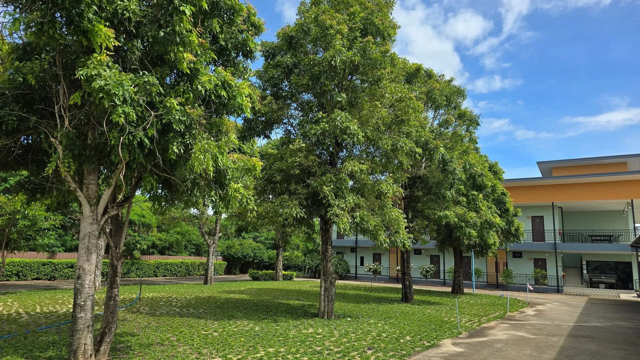 Tuang Ngoen Place، Korat: استوديوهات للإيجار الشهري بمساحة 24 م² قرب البوابة 4 لجامعة Suranaree للتكنولوجيا (SUT) صورة 2