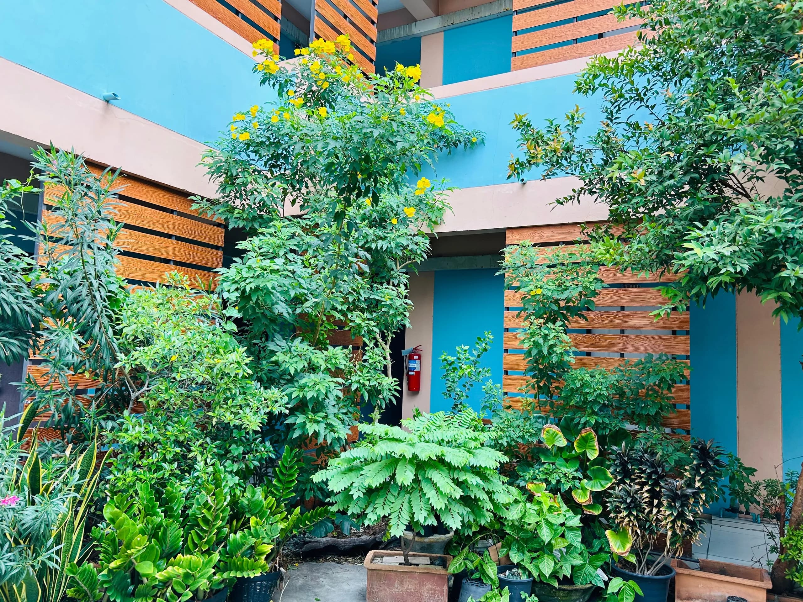 T.W. Apartment, Ban Suan, Chon Buri: Monthly Fan and Air-Conditioned Rooms near Samitivej Chonburi Hospital photo 2
