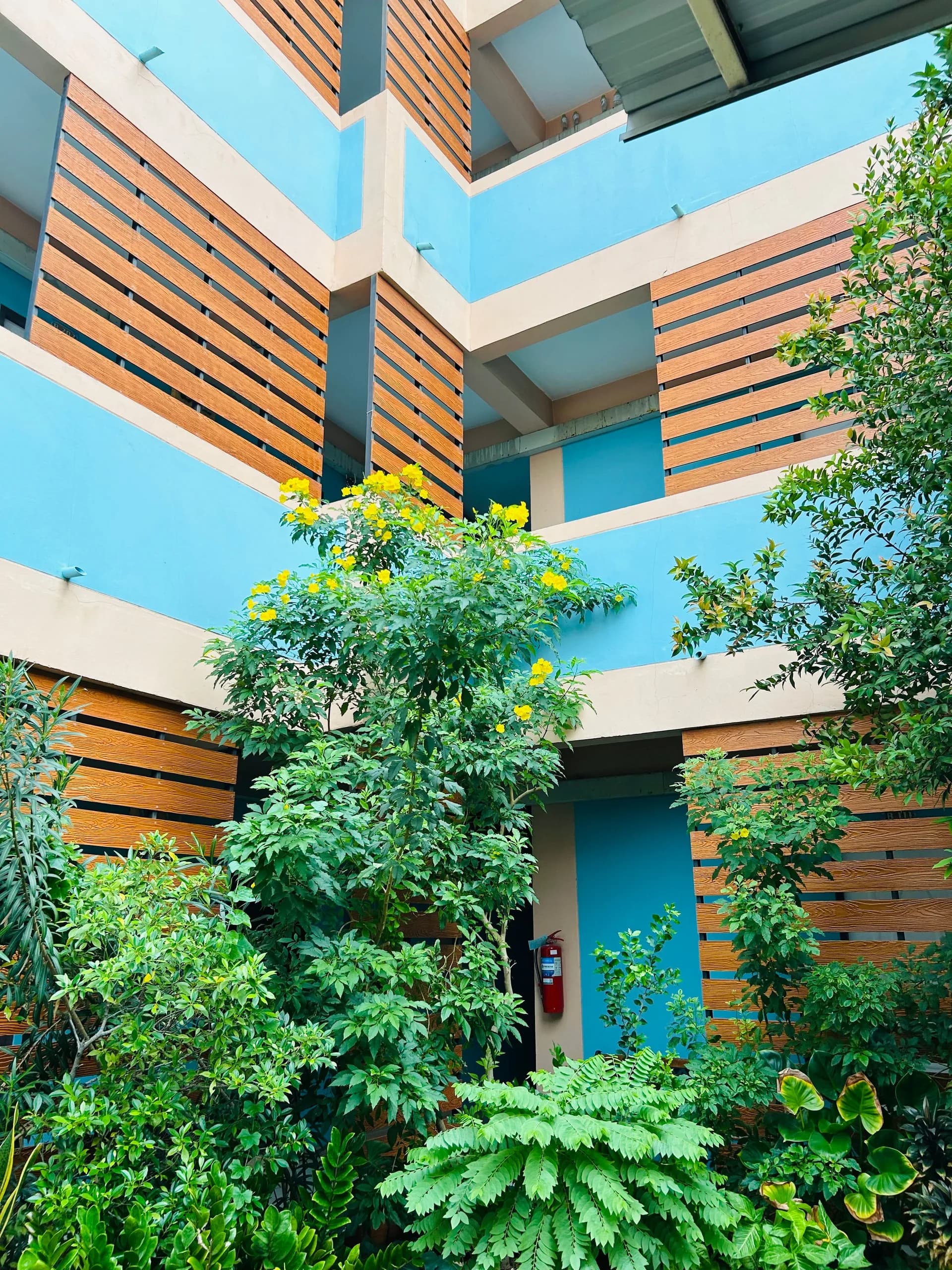 T.W. Apartment, Ban Suan, Chon Buri: Monthly Fan and Air-Conditioned Rooms near Samitivej Chonburi Hospital photo 8