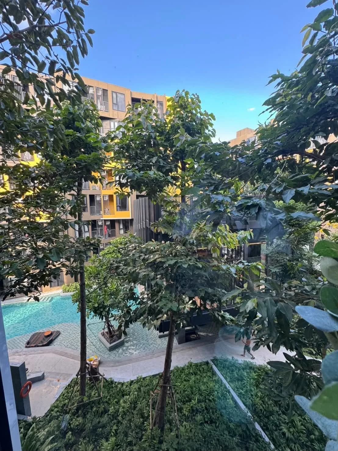 Аренда кондоминиума в The Base Central Phuket: 28.36 кв. м, корпус C, 4-й этаж, вид на бассейн, рядом с Central Phuket фото 8