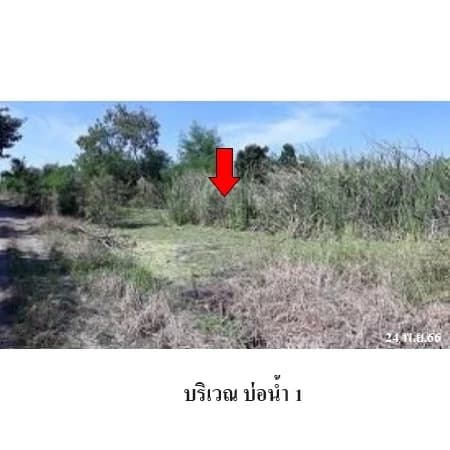 ที่ดิน 54 ไร่ 2 งาน 87.8 ตร.ว. ซอย กศน.บ้านคลองห้าร้อย ไทรน้อย รูปที่ 5