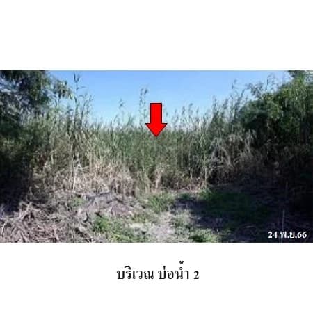 ที่ดิน 54 ไร่ 2 งาน 87.8 ตร.ว. ซอย กศน.บ้านคลองห้าร้อย ไทรน้อย รูปที่ 6