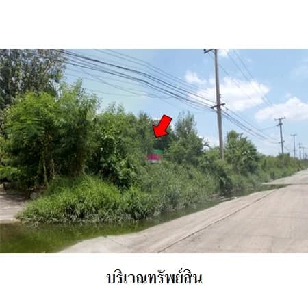 ที่ดินบิ๊กแลนด์ แฟคตอรี่ คลองหลวง 162 แปลง รวม 31 ไร่ 2 งาน 24.7 ตร.ว. 2