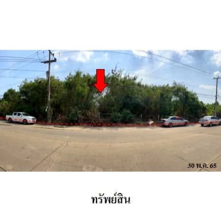 ที่ดินบิ๊กแลนด์ แฟคตอรี่ คลองหลวง 162 แปลง รวม 31 ไร่ 2 งาน 24.7 ตร.ว. 3