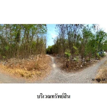 ที่ดินบิ๊กแลนด์ แฟคตอรี่ คลองหลวง 162 แปลง รวม 31 ไร่ 2 งาน 24.7 ตร.ว. · 6