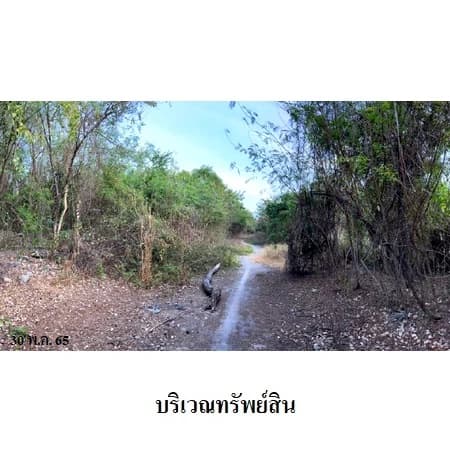 ที่ดินบิ๊กแลนด์ แฟคตอรี่ คลองหลวง 162 แปลง รวม 31 ไร่ 2 งาน 24.7 ตร.ว. รูปที่ 7