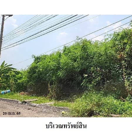 ที่ดินบิ๊กแลนด์ แฟคตอรี่ คลองหลวง 113 แปลง รวม 27 ไร่ 1 งาน 47 ตร.ว. · 6