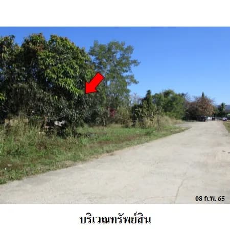 ที่ดินเปล่า 3 แปลง ติดถนนเชียงใหม่-ฝาง แม่แตง เชียงใหม่ 5-0-67 ไร่ 4