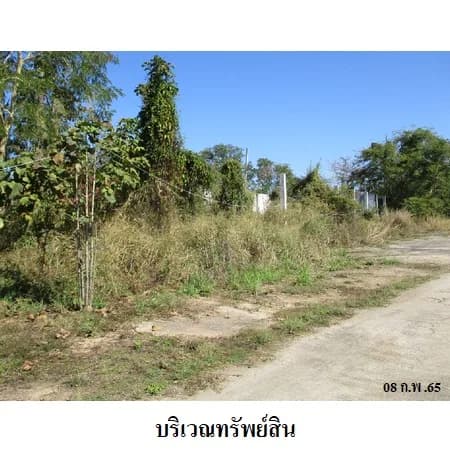 ที่ดินเปล่า 3 แปลง ติดถนนเชียงใหม่-ฝาง แม่แตง เชียงใหม่ 5-0-67 ไร่ รูปที่ 5