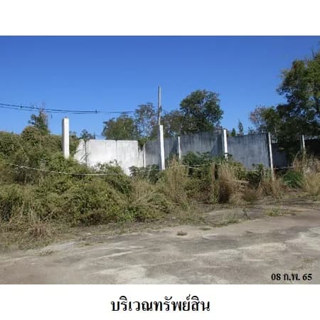 ที่ดินเปล่า 3 แปลง ติดถนนเชียงใหม่-ฝาง แม่แตง เชียงใหม่ 5-0-67 ไร่ รูปที่ 6