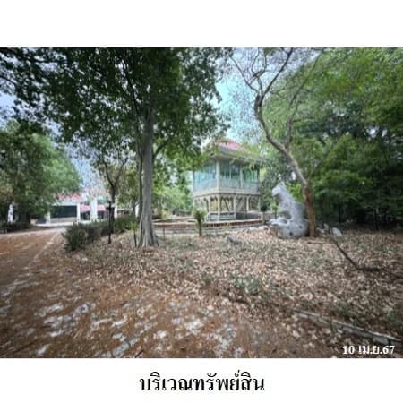 ที่ดินพร้อมกลุ่มอาคาร 5 ไร่ 1 งาน 73 ตร.ว. งามวงศ์วาน 26 หลักสี่ 3