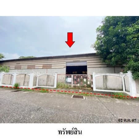 โกดัง พนัสนิคม ถนนศรีวิชัย ที่ดิน 9 แปลงรวม 253 ตร.ว.