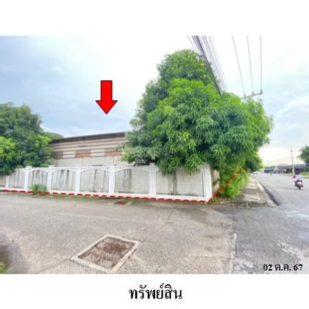 โกดัง พนัสนิคม ถนนศรีวิชัย ที่ดิน 9 แปลงรวม 253 ตร.ว. 2