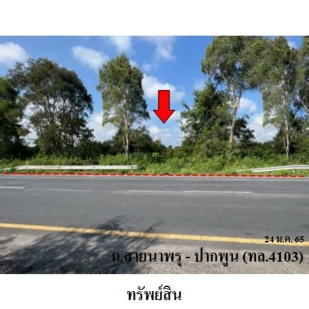 ที่ดิน 59 ไร่ 3 งาน 55 ตร.ว. ติด ทล.4103 นาสาร พระพรหม