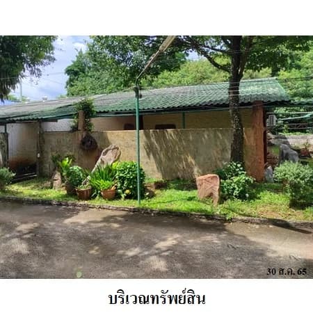 ทรัพย์ที่พักถนนธนะรัชต์ ปากช่อง 79 ห้องตามสำรวจ 10 ไร่ 1 งาน 21 ตร.ว. รูปที่ 5
