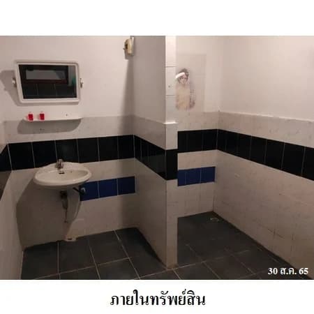 ทรัพย์ที่พักถนนธนะรัชต์ ปากช่อง 79 ห้องตามสำรวจ 10 ไร่ 1 งาน 21 ตร.ว. · 7