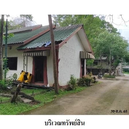 ทรัพย์ที่พักถนนธนะรัชต์ ปากช่อง 79 ห้องตามสำรวจ 10 ไร่ 1 งาน 21 ตร.ว. รูปที่ 8