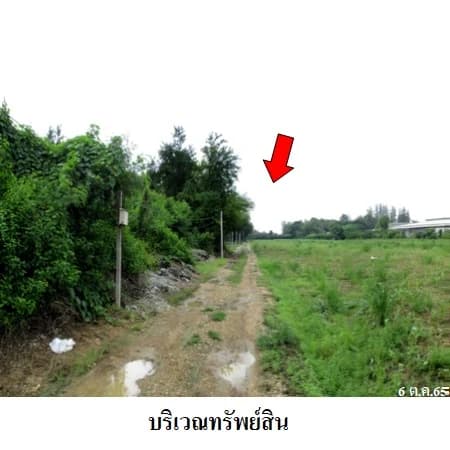 ที่ดิน 33 ไร่ 26.9 ตร.ว. ติดถนนแสงชูโต วังศาลา ท่าม่วง รูปที่ 5
