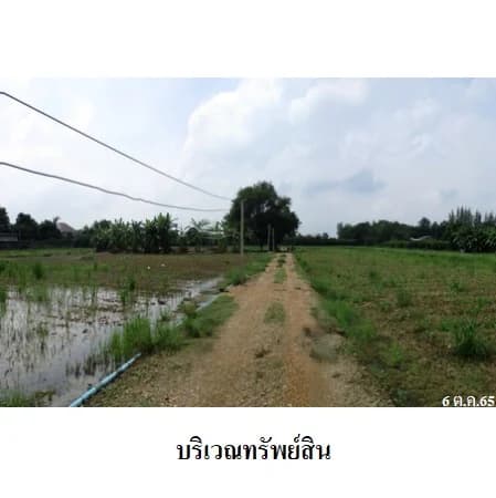 ที่ดิน 33 ไร่ 26.9 ตร.ว. ติดถนนแสงชูโต วังศาลา ท่าม่วง รูปที่ 6