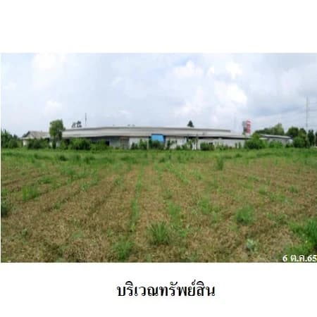 ที่ดิน 33 ไร่ 26.9 ตร.ว. ติดถนนแสงชูโต วังศาลา ท่าม่วง รูปที่ 7