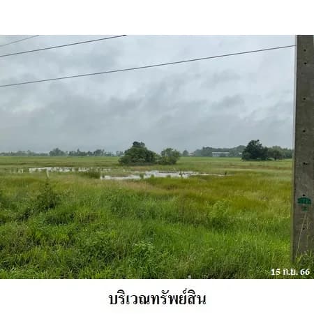 ที่ดิน 33-1-31 ไร่ ติด ทล.12 ยางตลาด มีแนวเวนคืน 2