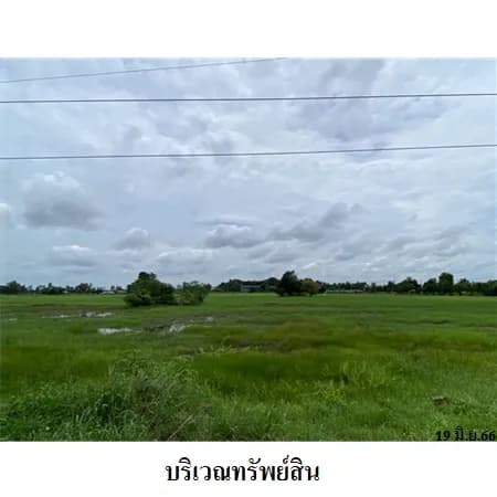 ที่ดิน 33-1-31 ไร่ ติด ทล.12 ยางตลาด มีแนวเวนคืน 3
