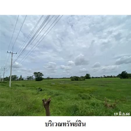 ที่ดิน 33-1-31 ไร่ ติด ทล.12 ยางตลาด มีแนวเวนคืน รูปที่ 5