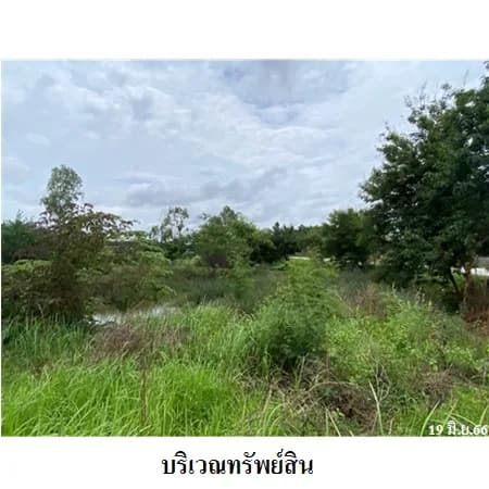 ที่ดิน 33-1-31 ไร่ ติด ทล.12 ยางตลาด มีแนวเวนคืน รูปที่ 7