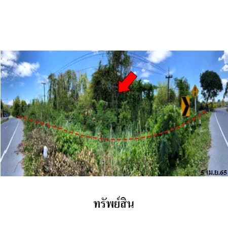 ที่ดินสาริกา นครนายก 10 แปลง 3 กลุ่ม รวม 165 ไร่ 3 งาน 39.3 ตร.ว. 3