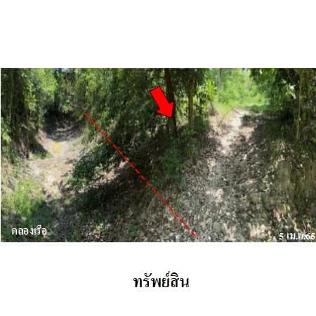 Земля в Sarika, Накхоннайок — десять участков в трёх группах, 187.909 млн бат фото 8