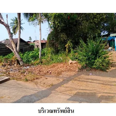 ที่ดินเปล่า 82 ตร.ว. ถนนราษฎร์บำรุง ท่าข้าม พุนพิน 4