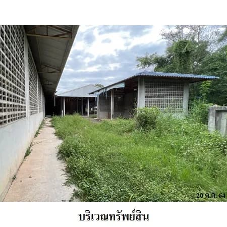 โรงงานพร้อมที่ดิน 14 แปลง ติด ทล.11 ห้างฉัตร ลำปาง 70-0-69 ไร่ รูปที่ 8