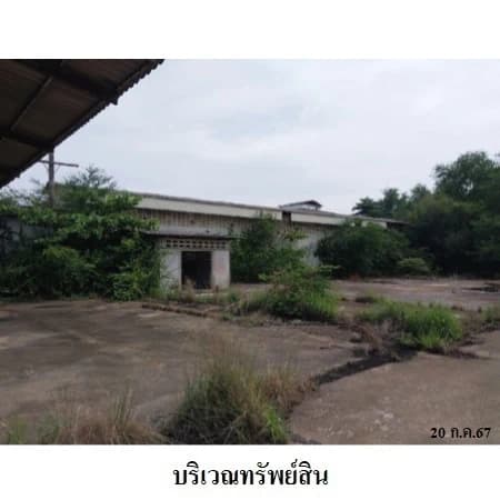 โรงงานและโกดังถนนนาเกลือ ปัตตานี 21 ไร่ 2 งาน 1.9 ตร.ว. 4