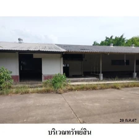 Na Kluea Road Factory and Warehouses, Pattani — 21 Rai photo 5