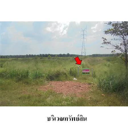 ที่ดิน 66 ไร่ 2 งาน 48 ตร.ว. ติด ทล.417 พุนพิน 2