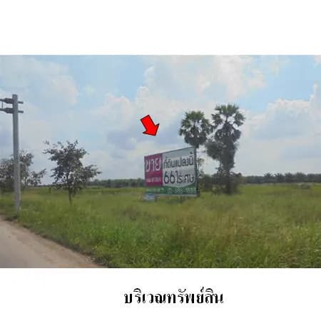 ที่ดิน 66 ไร่ 2 งาน 48 ตร.ว. ติด ทล.417 พุนพิน 3