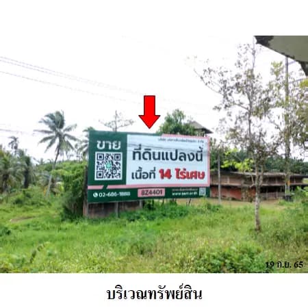 ที่ดินเปล่า 14 ไร่ 1 งาน ติดถนนเอเชีย ทล.41 ไชยา 2