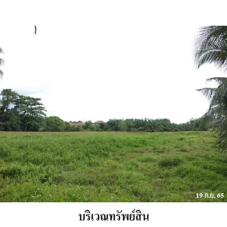 ที่ดินเปล่า 14 ไร่ 1 งาน ติดถนนเอเชีย ทล.41 ไชยา รูปที่ 5