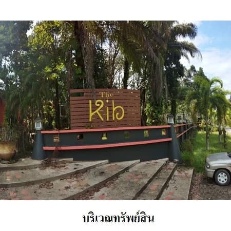 The Kib เกาะคอเขา รีสอร์ทบนที่ดิน 15 ไร่ ตะกั่วป่า พังงา 4