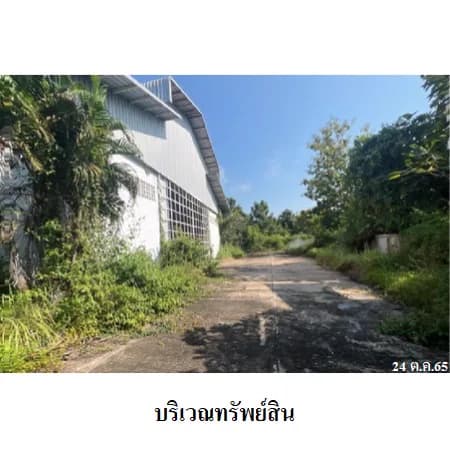 โรงงาน/โกดัง ปงแสนทอง ลำปาง 6 ไร่ 2 งาน 88 ตร.ว. รูปที่ 5