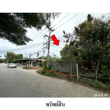 ที่ดินพร้อมโรงเก็บของโล่งหลังคาคลุม ซอยบางละมุง 1 ชลบุรี 471 ตร.ว. 3