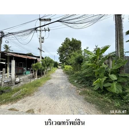 ที่ดินพร้อมโรงเก็บของโล่งหลังคาคลุม ซอยบางละมุง 1 ชลบุรี 471 ตร.ว. 4