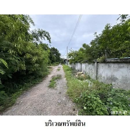 ที่ดินพร้อมโรงเก็บของโล่งหลังคาคลุม ซอยบางละมุง 1 ชลบุรี 471 ตร.ว. รูปที่ 5
