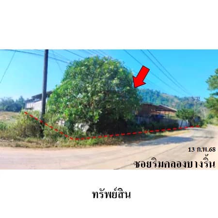 โรงงาน/โกดังห้องเย็น บางริ้น ระนอง 2 ไร่ 3 งาน 82 ตร.ว. 3