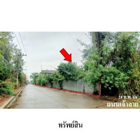 บ้านพักขามเงิน ชะอำ ติดถนน 2 ด้าน 5 ไร่ 1 งาน 60 ตร.ว. รูปที่ 4