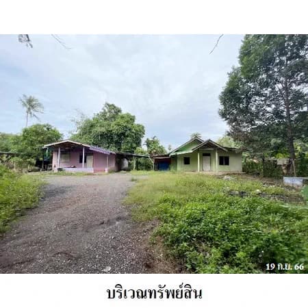 บ้านเดี่ยวพร้อมบ้านชั้นเดียว 2 หลัง ท่าโรงช้าง พุนพิน 2 งาน 33 ตร.ว.