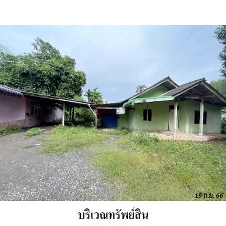 บ้านเดี่ยวพร้อมบ้านชั้นเดียว 2 หลัง ท่าโรงช้าง พุนพิน 2 งาน 33 ตร.ว. 3