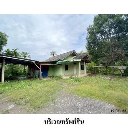 บ้านเดี่ยวพร้อมบ้านชั้นเดียว 2 หลัง ท่าโรงช้าง พุนพิน 2 งาน 33 ตร.ว. 4