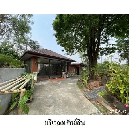 บ้านเดี่ยวพร้อมสิ่งปลูกสร้าง 3 หลัง กุลพันธ์วิลล์ 8 หางดง 2-1-64 ไร่ 2